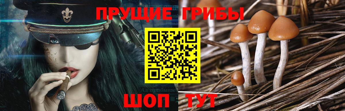 Галлюциногенные грибы мухоморы  Псилоцибиновые грибы GOLDEN TEACHER  Муром  Вход с VPN 